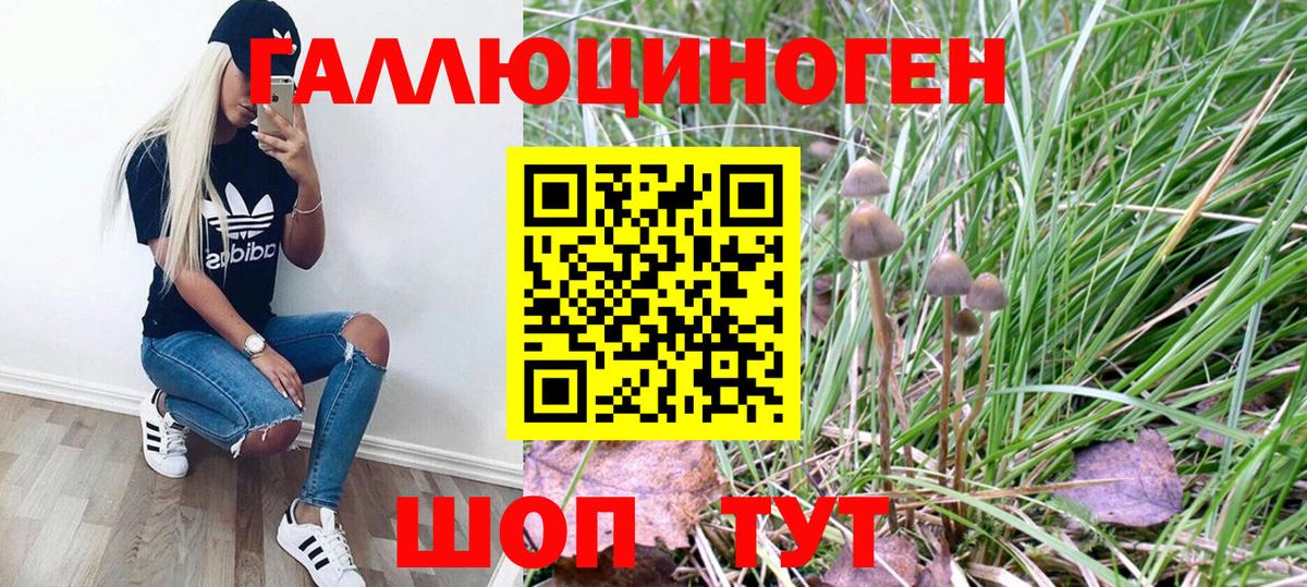 Ипатово  магазин продажи наркотиков  Вход с VPN  Галлюциногенные грибы GOLDEN TEACHER 